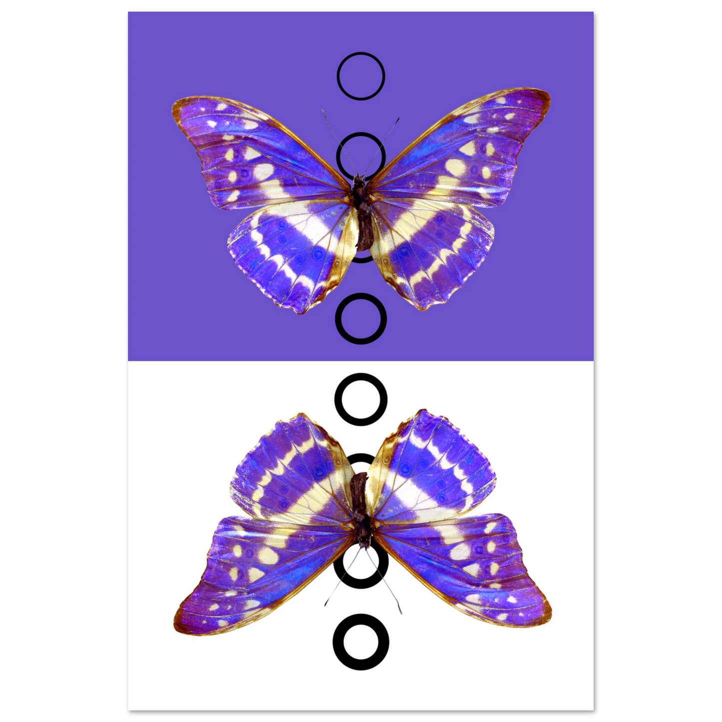 165049a2-0a2d-40b0-9912-3f98d8dee6c5