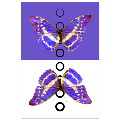 165049a2-0a2d-40b0-9912-3f98d8dee6c5