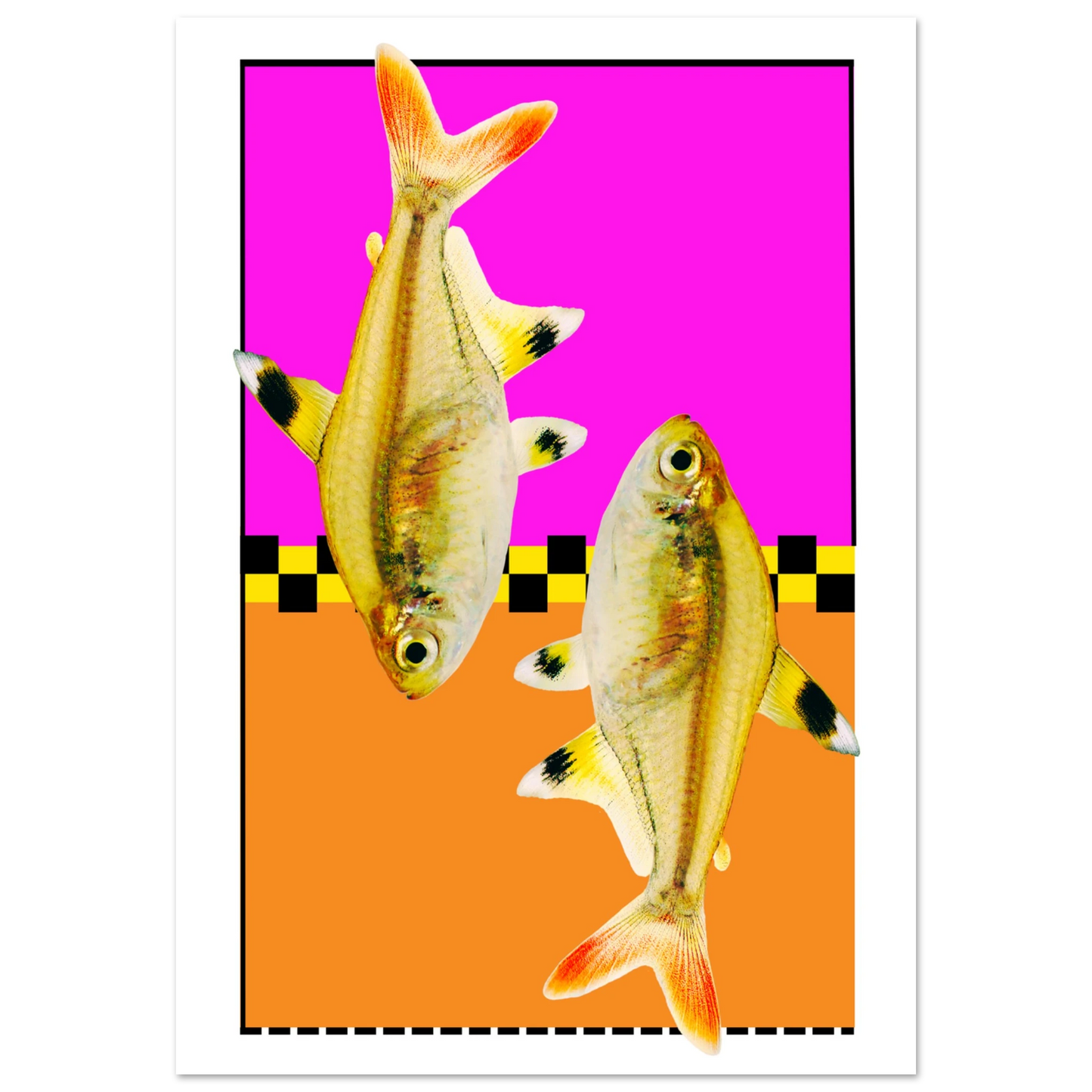 4ab7e94f-d9bf-4044-9e6c-7ff3cbffd29f