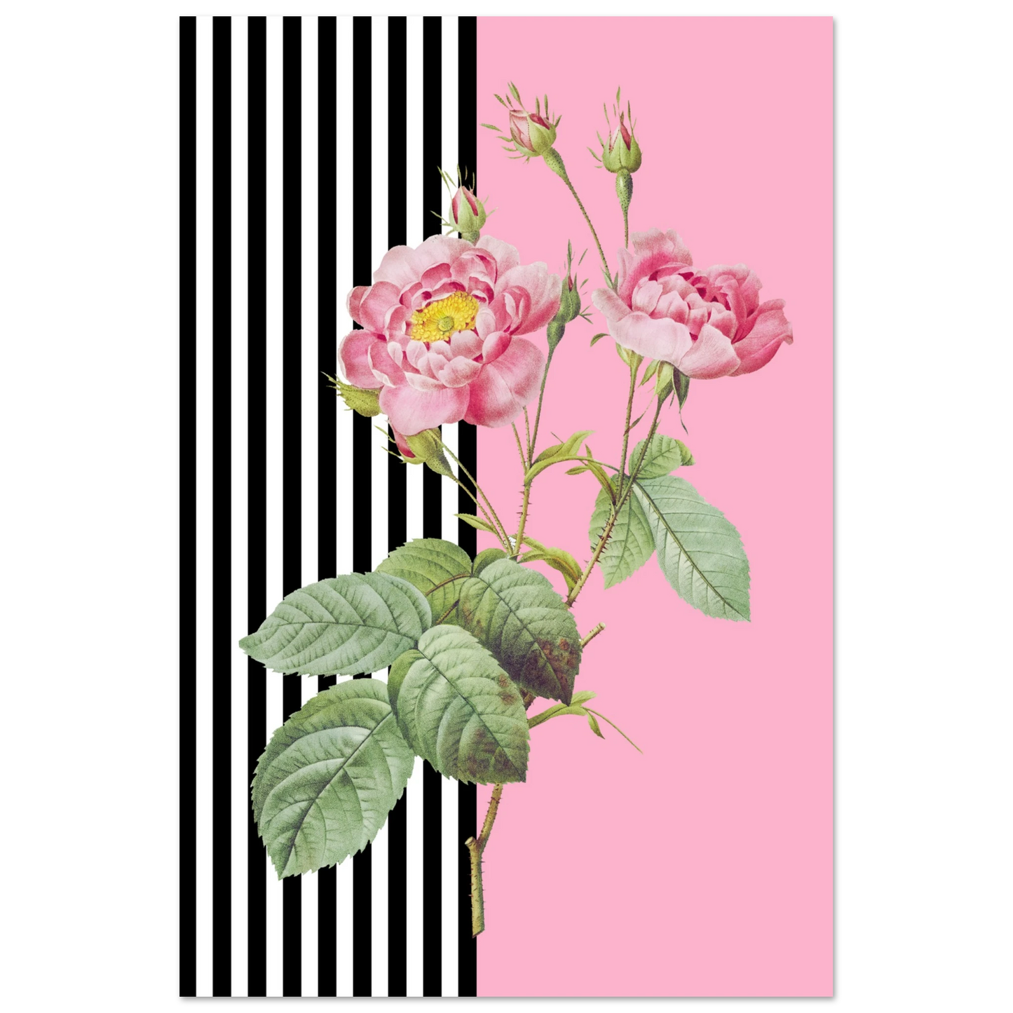 4b88249d-bbd8-47c0-8ce4-625a42079b45