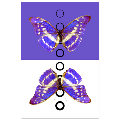 4be30f94-9e60-474d-9cd5-f7f1281bbad4