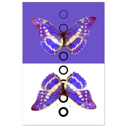 4be30f94-9e60-474d-9cd5-f7f1281bbad4