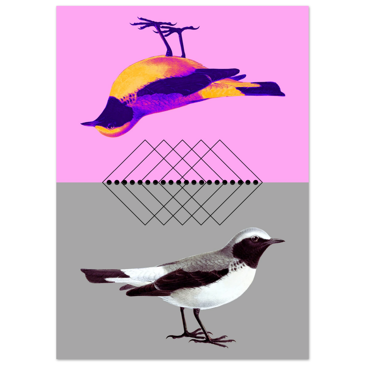 531373bb-50ad-4fd2-bc21-f2eaccd6cd14