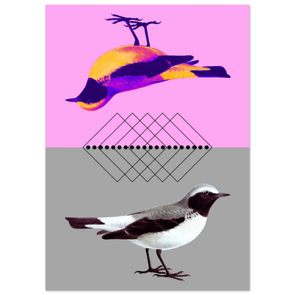 531373bb-50ad-4fd2-bc21-f2eaccd6cd14