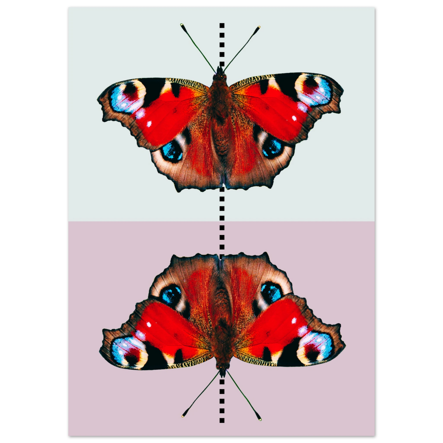 6e900e8d-4273-45a0-b1cc-1f46a26426a5