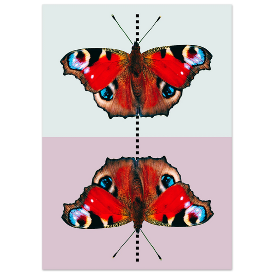 6e900e8d-4273-45a0-b1cc-1f46a26426a5