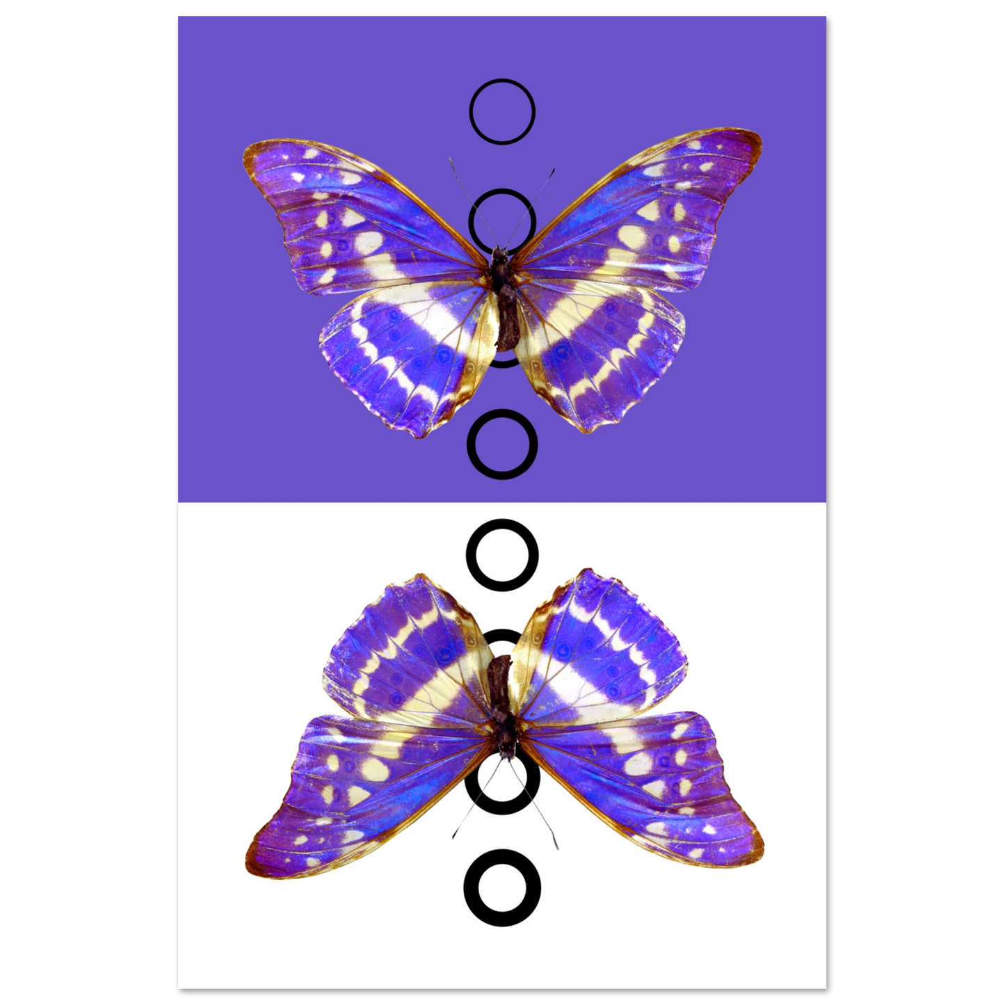 77b27e24-b734-42cb-b2e5-15e1e05f49b7