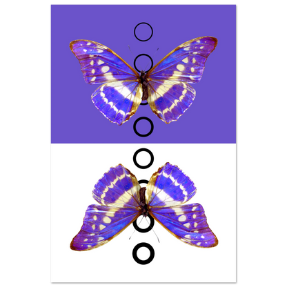 77b27e24-b734-42cb-b2e5-15e1e05f49b7