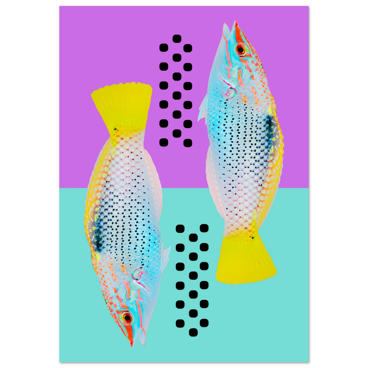 ab7847e6-46d5-4d86-b6f8-a5e138fb9703