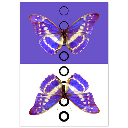 b2e69650-4c3c-4750-b9af-68c69d040d6d