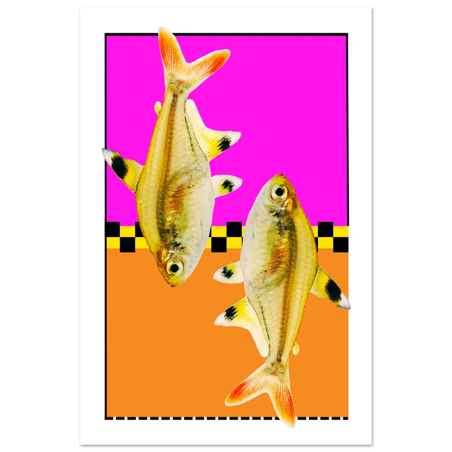 b3ef6418-d94a-4830-8092-3343b4dd3dc5