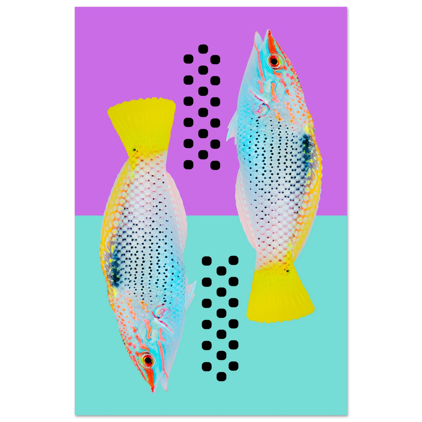 b53faf5a-3434-4f93-acb7-c96d690f79ba