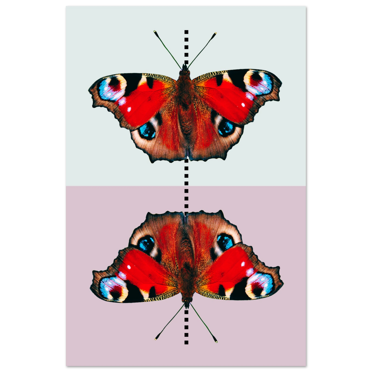 d2da2143-0a50-4913-ba62-94eb7a7c6b0d