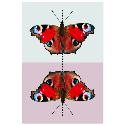 d2da2143-0a50-4913-ba62-94eb7a7c6b0d