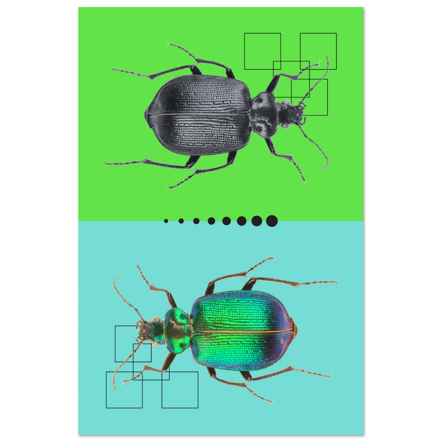 e26db4dc-d1be-424d-b2d0-b61ca0110364