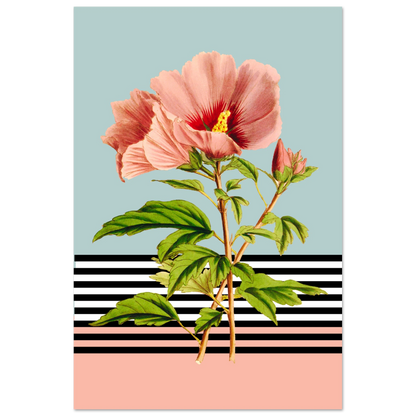 e66c7067-9e74-4278-9af4-3b72bed2108a
