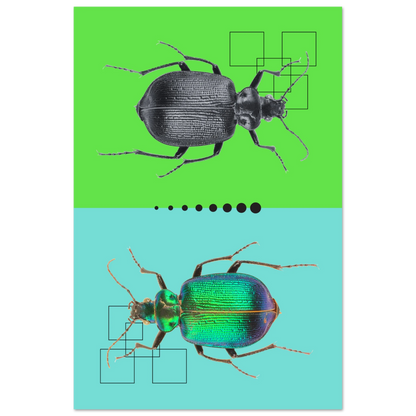 eb38e6fc-4a2d-47d1-8561-a7a60f0b7618